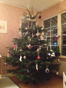 Julgran med anor från 1400-talet. Denna dock inköpt 2012.