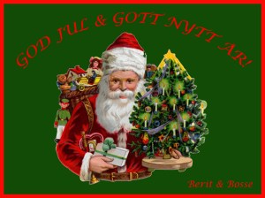 Microsoft Word - Tomte.docx