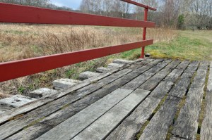 Är det hit eken är ämnad?