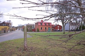 Knappast någon skogsvårdare.