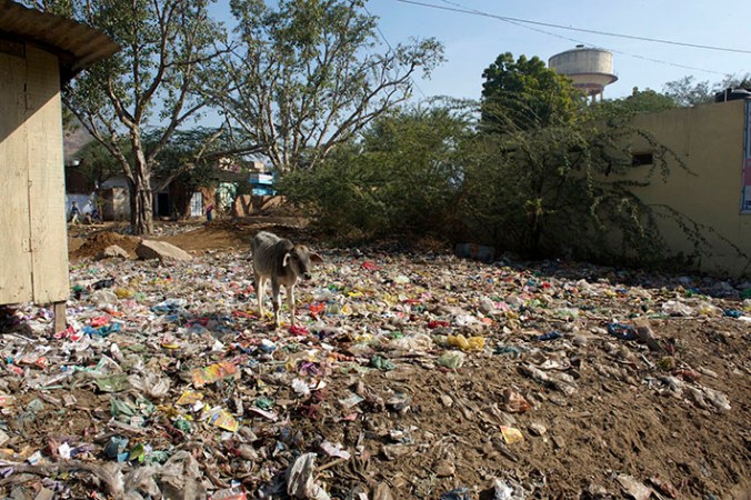 Mindre trevlig syn och tyvärr inte ovanlig. Neemrana (Nikon D3)