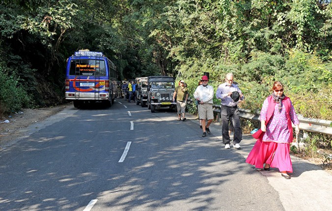 Lite kaos får man räkna med i den indiska trafiken.