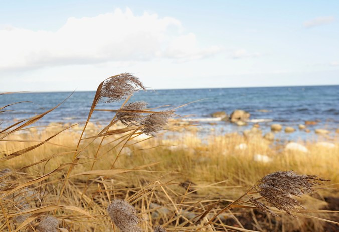 Snåla vindar en oktoberdag vid Hanöbukten. Sommarens badgäster är långt borta.